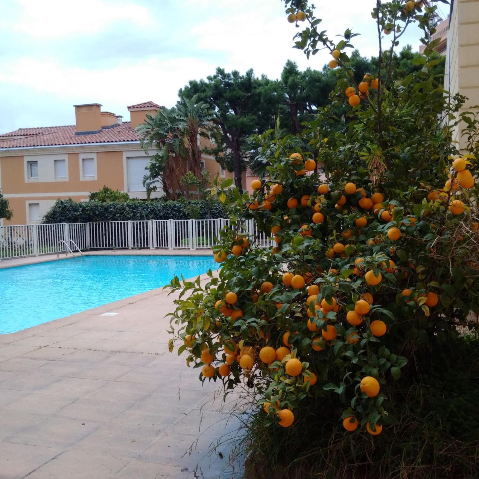 Direct Monaco Studio Devant Piscine Beausoleil Εξωτερικό φωτογραφία